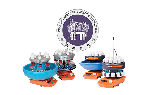 Henan Carousel 6 and 12