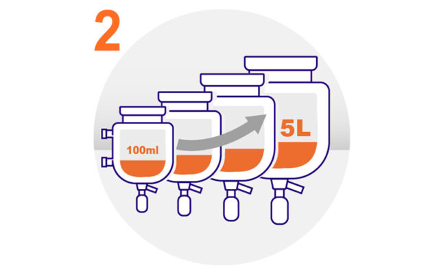 Select Vessel Kits