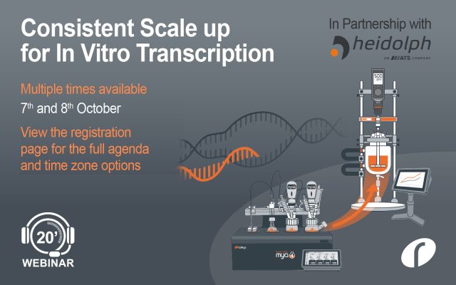 Consistent Scale up for In Vitro Transcription